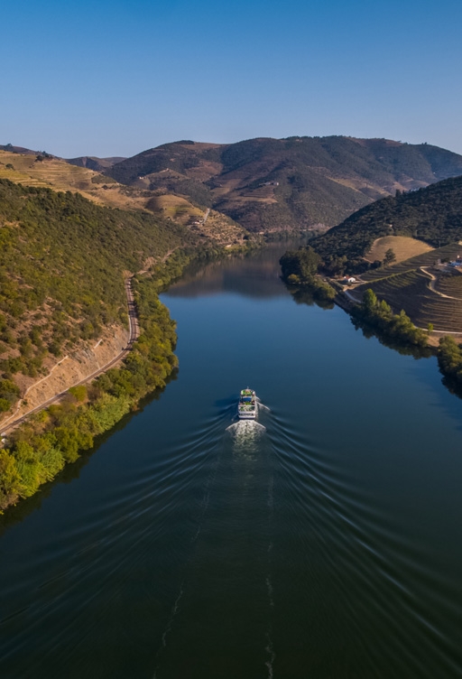 Douro River Cruises