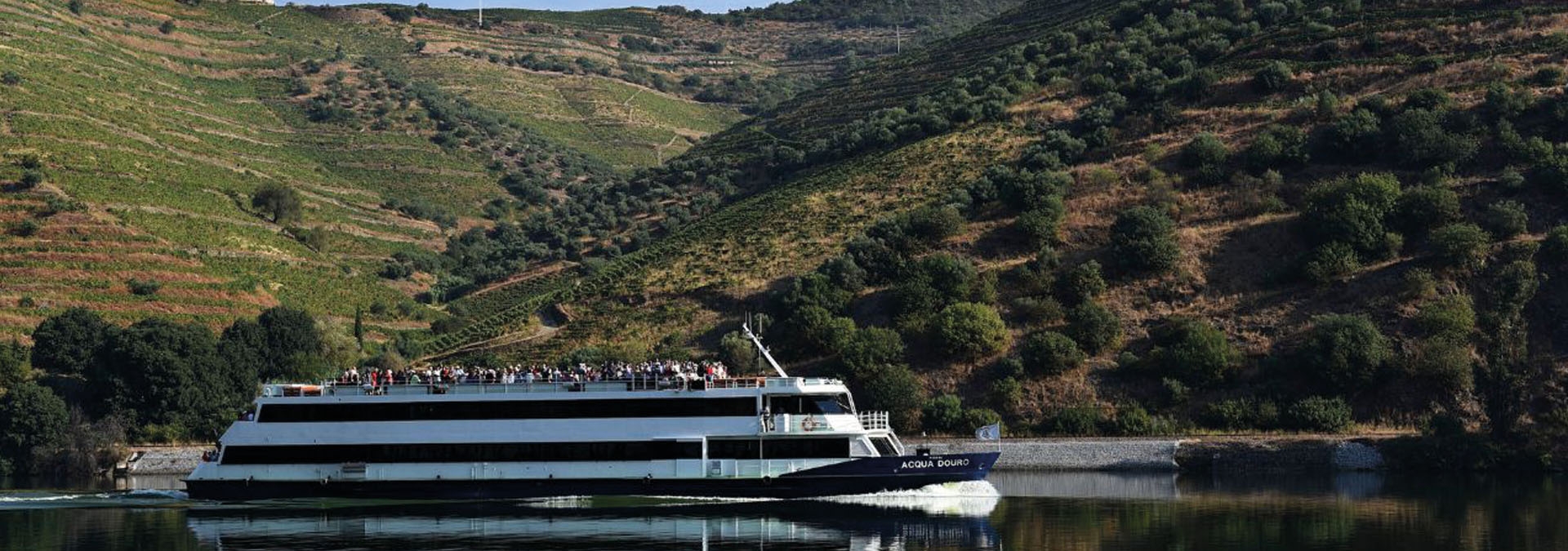 Douro River Cruises