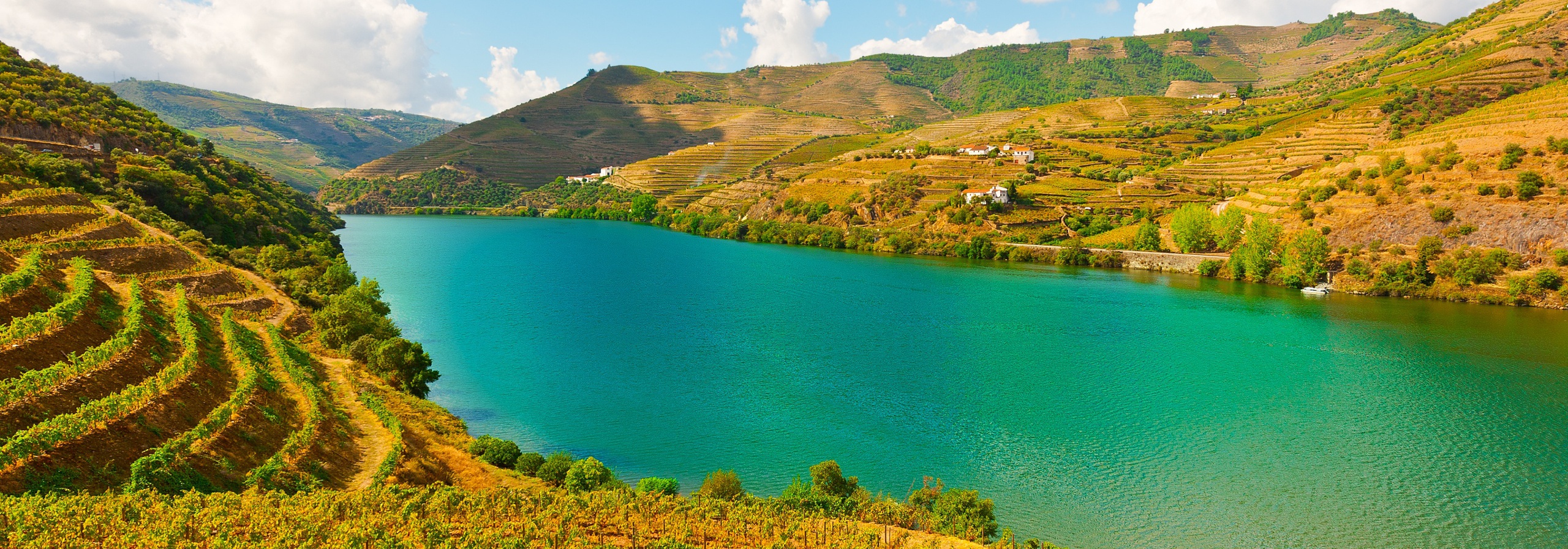 Banks of the Douro River