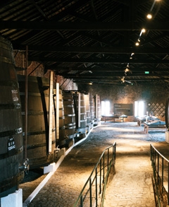 Caves Fonseca