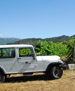 Quinta de Santa Cristina (4x4 Tour)