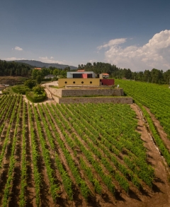 Quinta de Santa Cristina