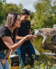 Zoo Santo Inácio