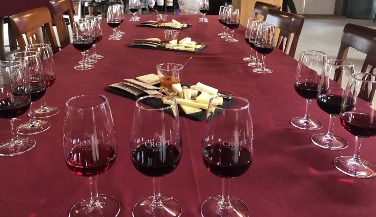 Douro Valley Tour: Gastronomy and Wine