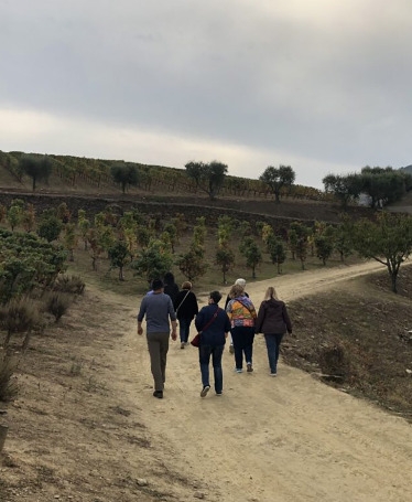 Douro Valley Tour: Gastronomy and Wine