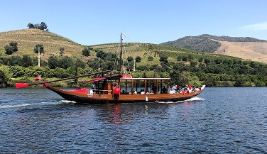 Douro Valley Tour: Gastronomy and Wine