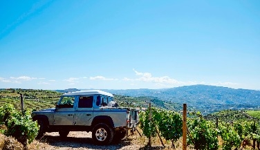 Tour Privado de 4x4 no Douro