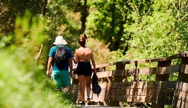 Paiva Walkways and 516 Arouca Bridge Tour