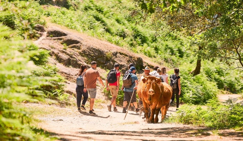 Gerês Waterfalls Trekking Adventure