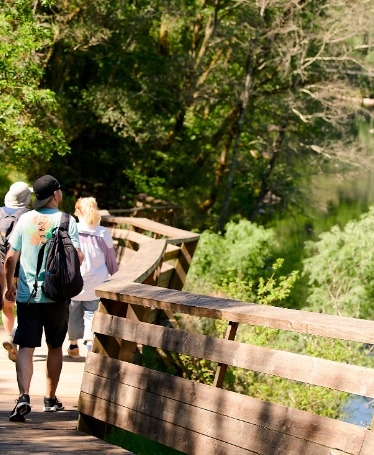 Tour nos Passadiços do Paiva + Ponte 516 Arouca