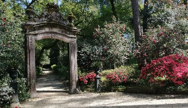 Guided Garden Tour at Quinta da Aveleda