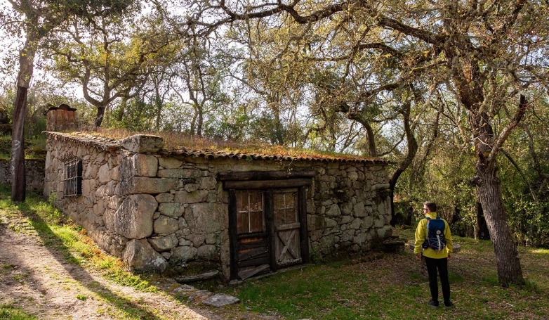 Walking Tour at Quinta do Romeu and Wine Tasting