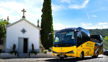 Douro Tour: Wines, Boat Ride and Lunch