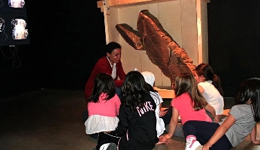 Visit to the Côa Museum