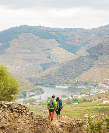 Walking Tour, Vinhos e Visita a Quinta no Douro