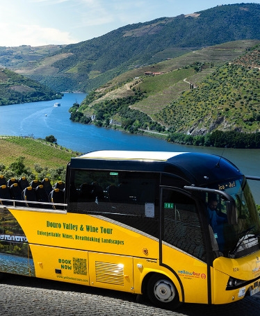 Tour no Douro: Vinhos, Passeio de Barco e Almoço