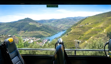 Tour no Douro: Vinhos, Passeio de Barco e Almoço