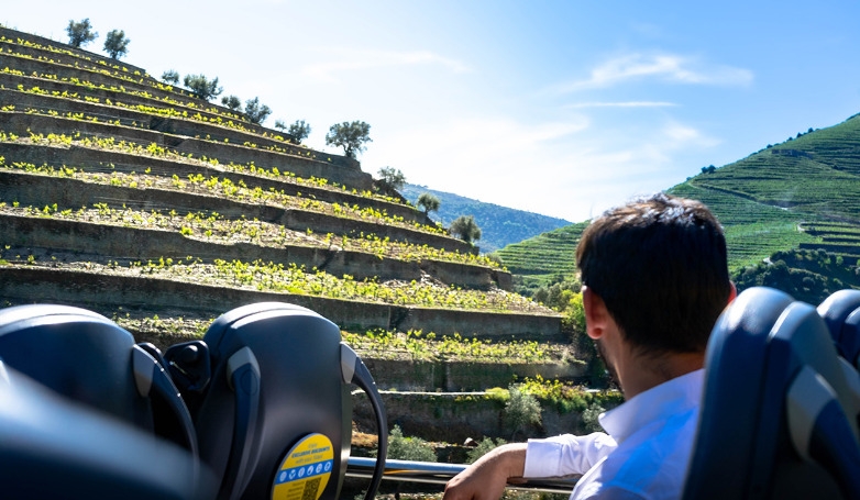 Tour no Douro: Vinhos, Passeio de Barco e Almoço