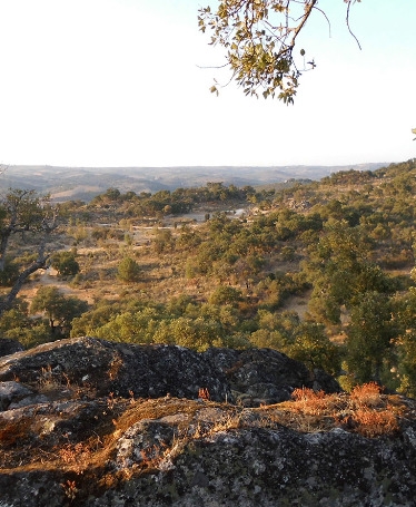 Walking Tour na Quinta do Romeu e Prova de Vinhos