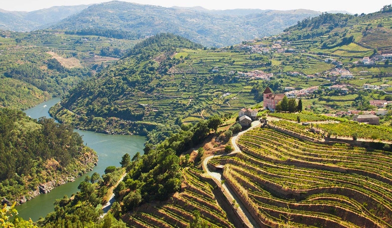 Private Tour through the Douro Valley