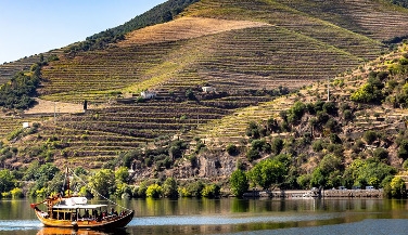 Private Tour through the Douro Valley