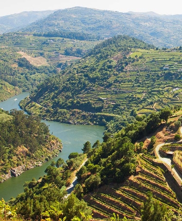 Private Tour through the Douro Valley