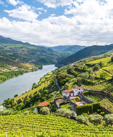 Private Tour through the Douro Valley