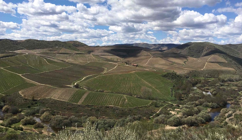 Night Tour of the Côa Valley Engravings