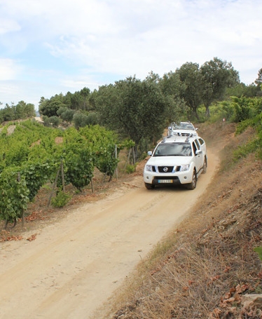 Tour de 4x4 pelas Encostas do Douro