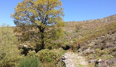 Hike in Peneda-Gerês National Park