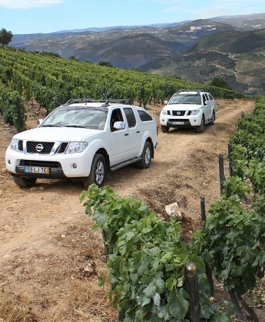 4x4 Tour Through the Slopes of Douro