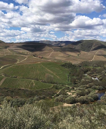 Night Tour of the Côa Valley Engravings