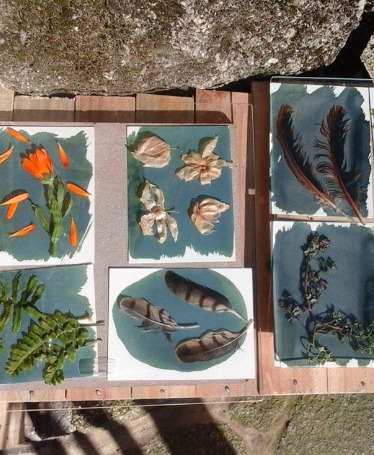 Cyanotype Workshop & Scenic Walk in Soajo Village