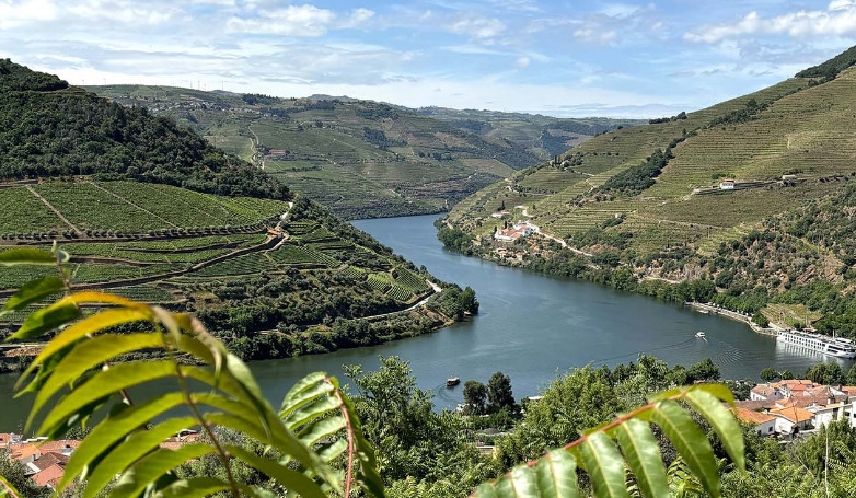 Experiência no Douro: Quintas, Almoço e Cruzeiro