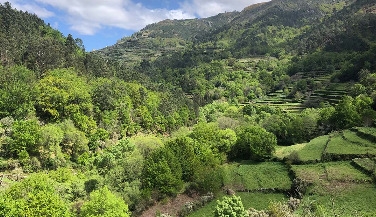 Hike through the Terraces of Sistelo