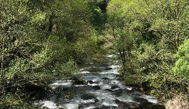 Hike through the Terraces of Sistelo