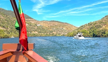 Experiência no Douro: Quintas, Almoço e Cruzeiro