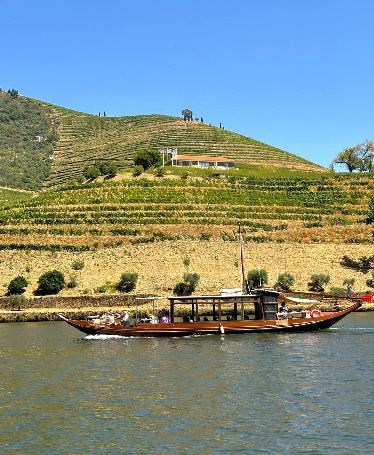 Experiência no Douro: Quintas, Almoço e Cruzeiro