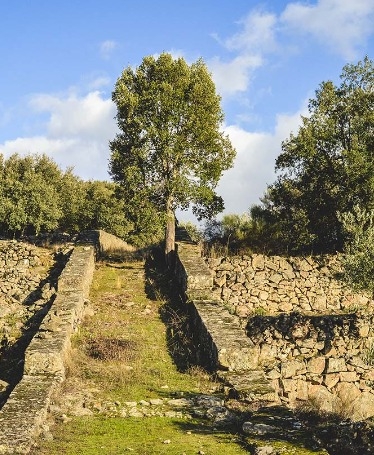 Passeio e Piquenique na Quinta Vineadouro