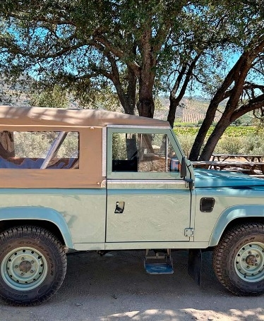 Jeep Tour and Wine Tasting