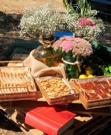 Castle Tour and Picnic at Quinta Vineadouro