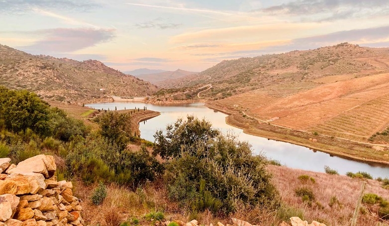 Rabelo Boat Sunset Tour in the Douro