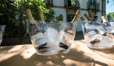 Visit and Sparkling Wine Tasting at Casa da Tojeira