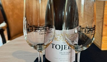 Visit and Sparkling Wine Tasting at Casa da Tojeira