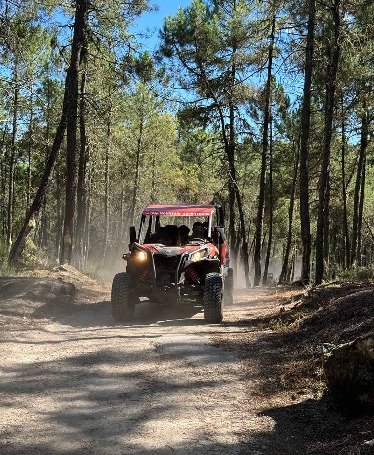 Tour de Buggy às Minas em Boticas