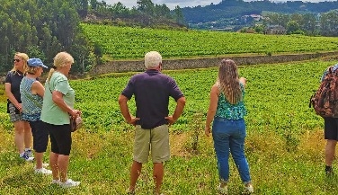 Tour Privado de Vinhos Verdes Exclusivos