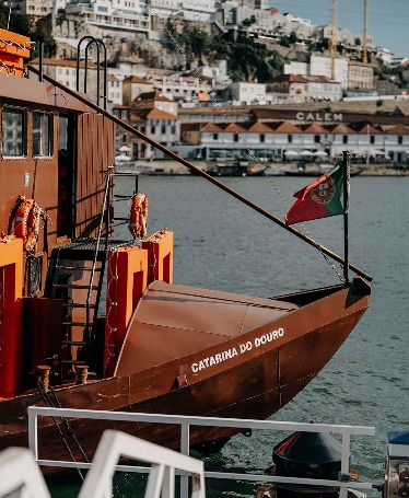 River Sightseeing Cruzeiro das Pontes+Visita Caves