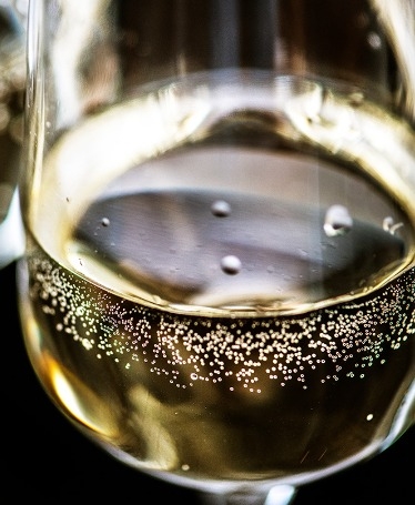 Wine and Champagne Route in the Douro Valley