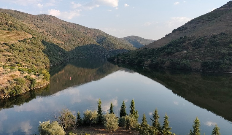 Essence of the Douro Route – Wines and Landscapes