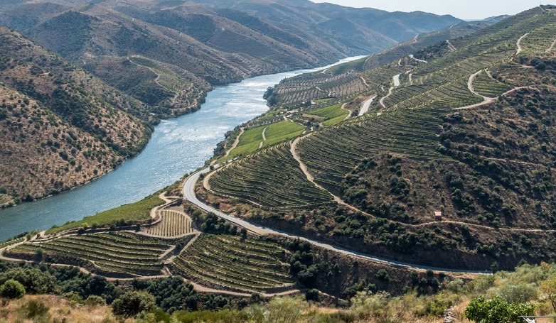 Wine and Champagne Route in the Douro Valley
